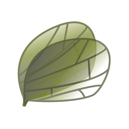 Introduction to palaeogenomics dateful